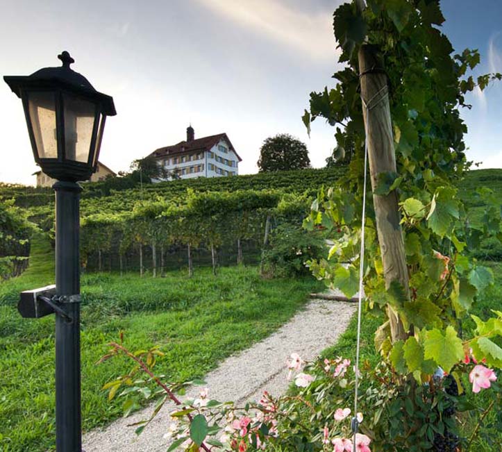 Schloss Dottenwil